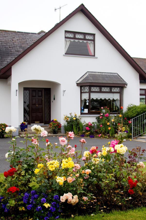 Mourneview B & B Carlingford Exterior photo